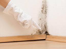 Trusted Geronimo, OK Mold Removal Services Experts